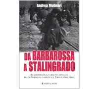 Da Barbarossa a Stalingrado. La drammatica e cruente disfatta della Germania nazista sul fronte orientale