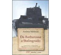 Da Barbarossa a Stalingrado. La drammatica e cruente disfatta della Germania nazista sul fronte orientale