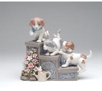 Da Collezione Porcellana Tre Cuccioli Su Giardino Gradini,Cani " Amore "