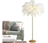 da da Terra con Piume di Struzzo, de da Terra con Piume per Soggiorno, da da Terra a LED Moderna e Romantica con Piume di Struzzo da Principessa per Camera da Letto, da da Terra n