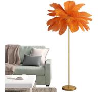 da da Terra con Piume di Struzzo, de da Terra con Piume per Soggiorno, da da Terra a LED Moderna e Romantica con Piume di Struzzo da Principessa per Camera da Letto, da da Terra n