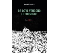 Da dove vengono le formiche