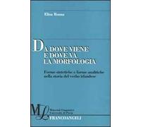 Da dove viene e dove va la morfologia. Forme sintetiche e forme analitiche nella storia del verbo irlandese