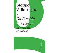 Da Euclide ai neuroni. La geometria nel cervello