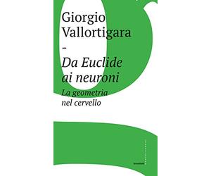 Da Euclide ai neuroni. La geometria nel cervello