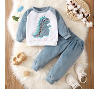 Da Neonato dinosauro con toppa color block manica raglan teddy Felpe con Pantaloni 6-9M,9-12M,12-18M,18-24M,2-3YBlocchi di colore,DinosauroTessuto