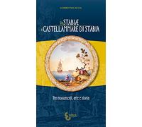 Da Stabiae a Castellammare di Stabia. Tra monumenti arte e storia