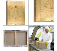 da Vinci uomo vitruviano design quadro stampa tela dipinto telaio arredo casa
