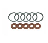 DA2479LR KIT REVISIONE O-RING E RONDELLE INIETTORI TD5 - GENUINE