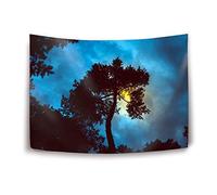 Daawqee Arazzi Tapestry Wall Hanging Tapestries Tree Night Sunset Sky Tapestry Wall Blanket Wall Decor Wall Art Home Decor Collage Dorm Decoration