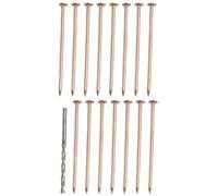 Daaxing Unghie in rame da 10,2 cm con punta da trapano, set di punte per rimozione delle radici del ceppo, chiodi in rame per la rimozione di ceppi e radici (15 pezzi)