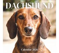 Dachshund Calendar 2026 : Charm, Character, and Timeless Personality Across the Year