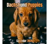 Dachshund Puppies Calendar 2026: 12 Months Organizer From January to December
