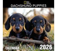 Dachshund Puppies Calendar 2026: Follow tiny paws and wagging tails from playful beginnings
