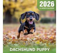 Dachshund Puppy 2026 Calendar: Playful and loyal little dogs with big personality