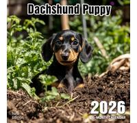 Dachshund Puppy 2026 Calendar: Playful and loyal little dogs with big personality