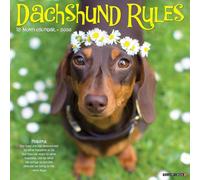 Dachshund Rules 2026 12 X 12 Wall Calendar