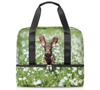 Dachshunds Puppy Daisies Sports Duffle Bag per donne uomini ragazzi Kirls Puppy Dog Weekend Borse per la notte separato bagnato 21 L Tote Bag per viaggi, palestra, yoga, Colore, 21L, Organizer per