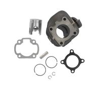 Daco Gatto 50 Cilindro Kit Cilindri Zylinderset Zylinder-Kit Colata 50cc 2T