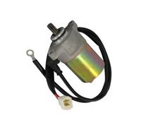 Daco Gatto 50 Starter Anlasser-Motor Elektrostarter Avviamento Elettrico 50cc
