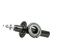 DACO Germany Ammortizzatore Anteriore Adatto Per Audi A5 Sportback 8TA 8T3