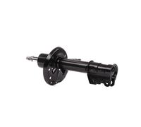 DACO Germany 451902R Ammortizzatore A pressione del gas Ammortizzatori