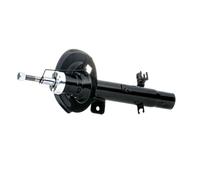 DACO Germany 452802R Ammortizzatore Anteriore Dx A pressione del gas