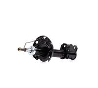 DACO Germany 453646 Ammortizzatore