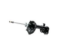 DACO Germany 454560 Ammortizzatore