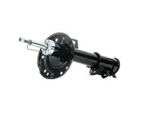 DACO Germany Ammortizzatore A pressione del gas Ammortizzatori 450910R