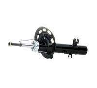 DACO Germany Ammortizzatore Anteriore Dx A pressione del gas Ammortizzatori