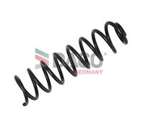 DACO Germany Molle Telaio Posteriore per Renault Megane II Kombi KM0/1_