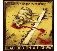 Dad Horse Experience - Dead Dog on a Highway