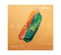 D'Addario Ascenté viola corde SET di corde viola SET