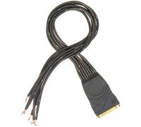 D'Addario Cavo Breakout Modular Snake Senza Connettori ( PW-CFB-01)