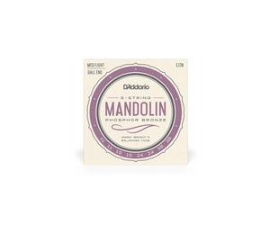 D'ADDARIO EJ70 CORDIERA PER MANDOLINO BALL END MEDIUM LIGHT
