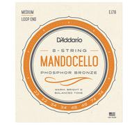 Daddario EJ78 Mandocello