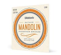 D'ADDARIO EJ80 CORDE PER OCTAVE MANDOLIN PHOSPHOR BRONZE 12-46
