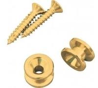 D'Addario Planet Waves PWEP 302 Gold Clip e Bottoni