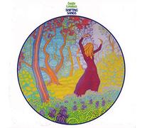 daddy longlegs - shifting sands
