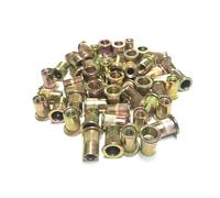 Dadi a rivetto 2/5/10/20/30 pz Dadi for rivetti ciechi Inserti filettati in acciaio inossidabile zincato for pannelli alloggiamenti(Yellow Zinc Plated,M12(10pcs))