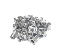 Dadi a rivetto 2/5/10/20/30 pz Dadi for rivetti ciechi Inserti filettati in acciaio inossidabile zincato for pannelli alloggiamenti(304 Stainless Steel,M4(10pcs))
