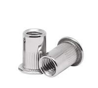 Dadi a rivetto Assortimento di inserti filettati piatti con testa zigrinata in acciaio inossidabile 304. Dadi for rivetti(M4 X 30pcs)