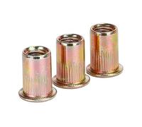 Dadi a rivetto filettati a testa piatta, Dado for rivetti a testa piatta Acciaio al carbonio zincato Multicolor Dimensioni multiple 100 pz(M12)