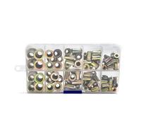 Dadi a rivetto Kit dadi for rivetti piatti da 110 pezzi con scatola Morsetto di bloccaggio for pannello in metallo zincato nero in acciaio inossidabile 304 in alluminio al carbonio(Aluminum)