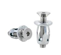 Dadi a rivetto M4 M5 M6 M8 Dado a espansione Molly Jack Vite a petalo Morsetto for dado metallico Rivnut(Flat Head (Silver),M6x20(10Pcs))