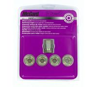 Dadi Antifurto Mcgard 24012