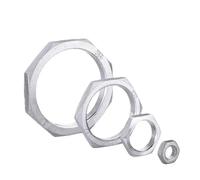 Dadi di bloccaggio esagonali sottili, Dado Di Bloccaggio Esagonale Raccordo for Tubi M22 Passo 1mm-1.5mm Metrico Femmina Acciaio Inossidabile 304 10 Pz(M22x1.5mm(S26 H4))