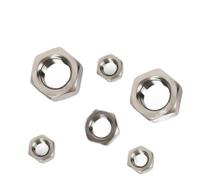 Dadi esagonali M1 M1.2 M1.4 M1.6 M2 M2.5 M3 M3.5 M4 M5 M6 M8 M10 M12 M14 M16 M18 M20 Dado esagonale in acciaio inossidabile 304 metrico(M12 x 5Pcs)