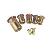 Dadi for rivetti in acciaio al carbonio Inserto a testa piatta Nutsert Rivetnut filettato M3 M4 M5 M6 M8 M10(100PCS M5)